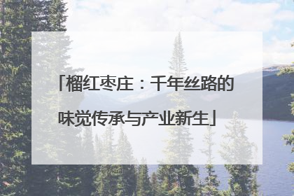 榴红枣庄：千年丝路的味觉传承与产业新生